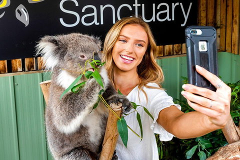 Moonlit Sanctuary Wildlife Conservation Park Daytime General Entry Ticket - Accommodation Port Macquarie 4
