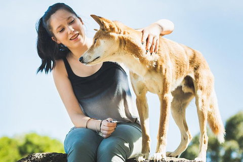 Moonlit Sanctuary Wildlife Conservation Park Daytime General Entry Ticket - Accommodation Port Macquarie 5