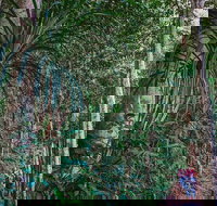 Atherton Tablelands Rain Forest by Night from Cairns - Accommodation Port Macquarie