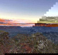 Blue Mountains Sunset Tour  Kangaroos  Koala Encounter Private Tour - Accommodation Port Macquarie
