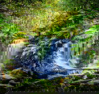 Day Tour in Mt. Field Mt. Wellington Bonorong Wildlife Sanctuary and Richmond - Accommodation Port Macquarie