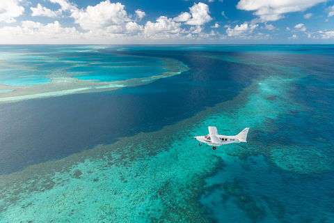 Scenic Flight - Great Barrier Reef, Heart Reef, Whitehaven Beach & Hill Inlet! - Accommodation Port Macquarie 3