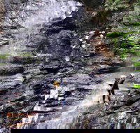 Full-Day Canyoning Experience at Stunning Empress Canyon - Accommodation Port Macquarie