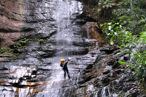 Full-Day Canyoning Experience At Stunning Empress Canyon - Accommodation Port Macquarie 0