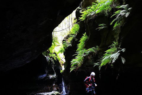 Full-Day Canyoning Experience At Stunning Empress Canyon - Accommodation Port Macquarie 2