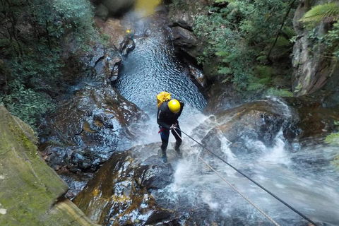 Full-Day Canyoning Experience At Stunning Empress Canyon - Accommodation Port Macquarie 4