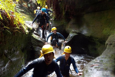 Full-Day Canyoning Experience At Stunning Empress Canyon - Accommodation Port Macquarie 5