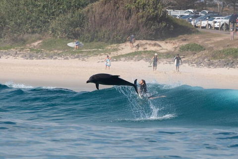 Cruise With Dolphins In Byron Bay - Accommodation Port Macquarie 3