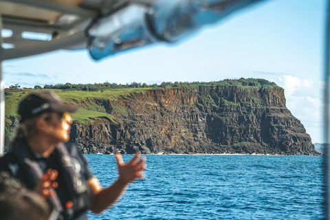 Cruise With Dolphins In Byron Bay - Accommodation Port Macquarie 4