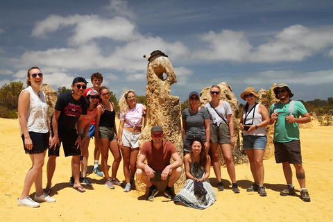 7-Day Exmouth Explorer Via Pinnacles Monkey Mia Ningaloo Reef Returning To Perth - Accommodation Port Macquarie 2
