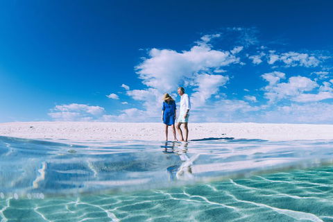 4-Day Coastal Loop Via Monkey Mia Wild Dolphins Kalbarri Pinnacles Perth Return - Accommodation Port Macquarie 0