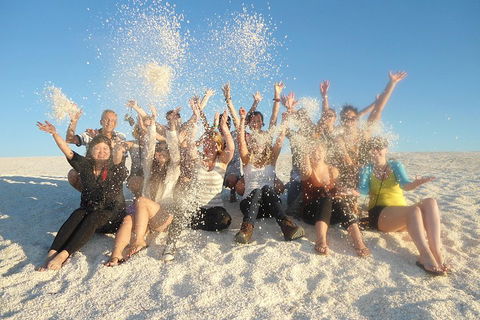 4-Day Coastal Loop Via Monkey Mia Wild Dolphins Kalbarri Pinnacles Perth Return - Accommodation Port Macquarie 1