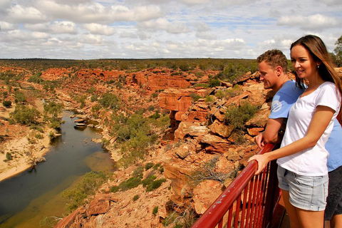 4-Day Coastal Loop Via Monkey Mia Wild Dolphins Kalbarri Pinnacles Perth Return - Accommodation Port Macquarie 3