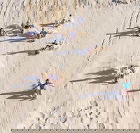 Unlimited Sandboarding - Accommodation Port Macquarie