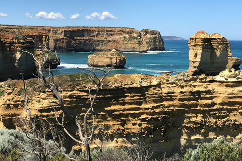 Great Ocean Road Reverse Itinerary Tour - Accommodation Port Macquarie 1