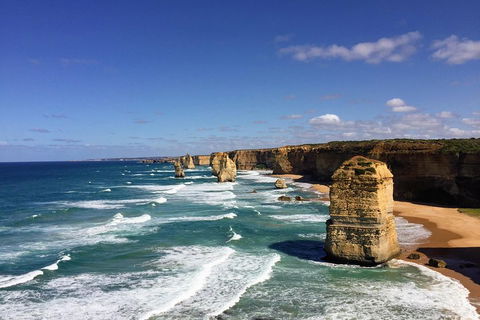 Great Ocean Road Reverse Itinerary Tour - Accommodation Port Macquarie 4