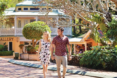 Sunshine Coast Hinterland Rainforest, Views And Montville Day Tour Inc. Lunch - Accommodation Port Macquarie 4