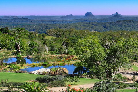 Sunshine Coast Hinterland Rainforest, Views And Montville Day Tour Inc. Lunch - Accommodation Port Macquarie 5