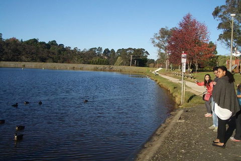 PRIVATE All-Day Blue Mountains Tour With Professional Guide For Up To 4 People - Accommodation Port Macquarie 2