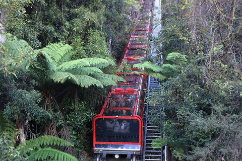 Blue Mountains Private Full-Day Tour From Sydney With Cruise - Accommodation Port Macquarie 5