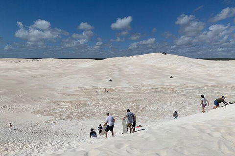 Pinnacles Day Trip From Perth Including Yanchep National Park - Accommodation Port Macquarie 2