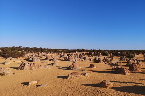 Pinnacles Day Trip From Perth Including Yanchep National Park - Accommodation Port Macquarie 3