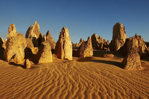 Pinnacles Day Trip From Perth Including Yanchep National Park - Accommodation Port Macquarie 5