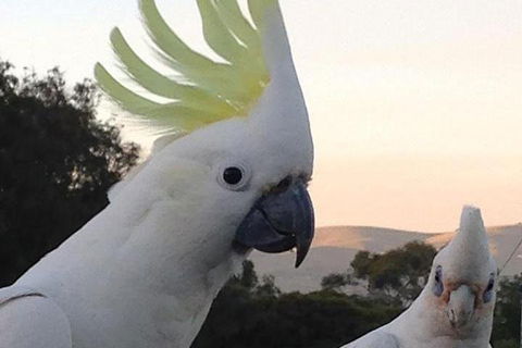 Great Ocean Road & Phillip Island - 2 Days, 1 Night - Accommodation Port Macquarie 1