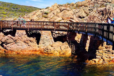 Margaret River (Private) Day Tour - Accommodation Port Macquarie 3