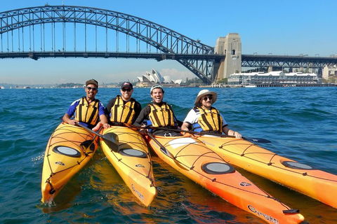 Kayak To Goat Island In Sydney Harbour With Local - Accommodation Port Macquarie 5