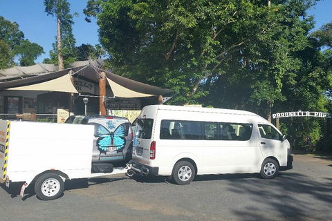 Airport Transfer To Or From Cairns Hotels For Up To 13 People - Accommodation Port Macquarie 4