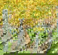 Margaret River Indulge and Discover Day Tour - Accommodation Port Macquarie