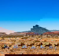 Alice Springs Camel Tour - Accommodation Port Macquarie