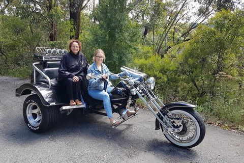Blue Mountains 1-Hour Trike Tour Of Three Sisters - Accommodation Port Macquarie 1