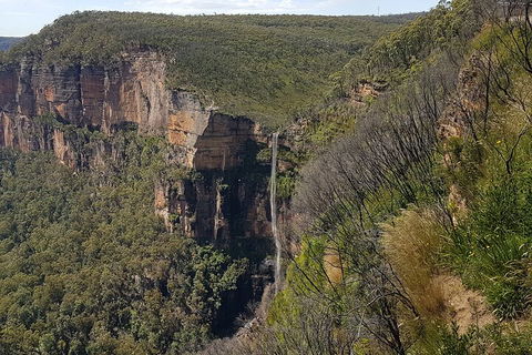 Blue Mountains 1-Hour Trike Tour Of Three Sisters - Accommodation Port Macquarie 5
