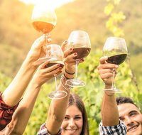 Adelaide Hills Day Tour. Winery Cellar Doors - Accommodation Port Macquarie