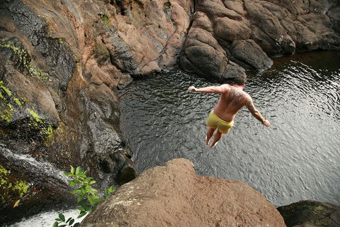 Hinterland Magic & Glow-worm Experience - Accommodation Port Macquarie 3