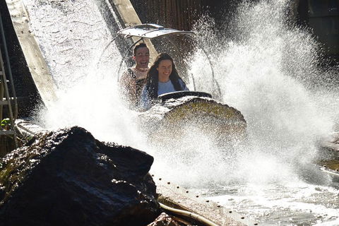 Theme Park Transfer From Brisbane - Accommodation Port Macquarie 1