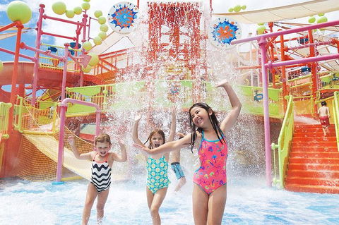 Theme Park Transfer From Brisbane - Accommodation Port Macquarie 3