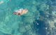 Aquascene Magnetic Island Discovery Tour - thumb 1