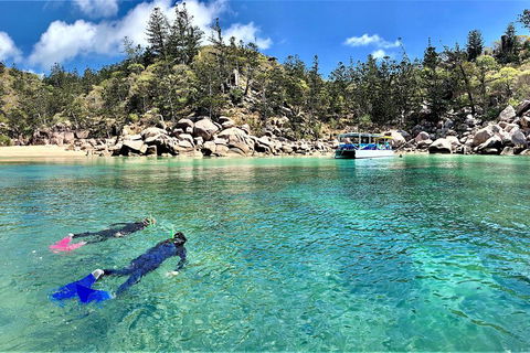 Aquascene Magnetic Island Discovery Tour - Accommodation Port Macquarie 4
