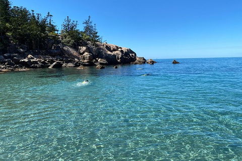 Aquascene Magnetic Island Discovery Tour - Accommodation Port Macquarie 5