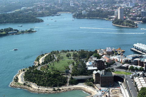Half Day Manly Beach And More - Accommodation Port Macquarie 1