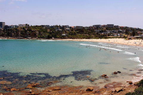 Half Day Manly Beach And More - Accommodation Port Macquarie 2