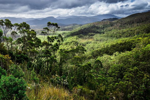 3-Day Tour To The Falls, Mountains, Lake & More Of West Coast Tasmania - Accommodation Port Macquarie 0