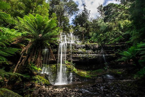 3-Day Tour To The Falls, Mountains, Lake & More Of West Coast Tasmania - Accommodation Port Macquarie 4