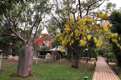 Gorgeous Gorges Tour - Windjana & Bell Gorge, Mt Hart, Cape Leveque - Accommodation Port Macquarie 3