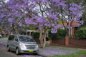 Sydney Secrets & Bondi Beach Private 4 Hr Morning with Personalised Sydney Tours