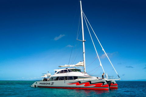 Passions Of Paradise Great Barrier Reef Snorkel And Dive Cruise From Cairns By Luxury Catamaran - Accommodation Port Macquarie 0
