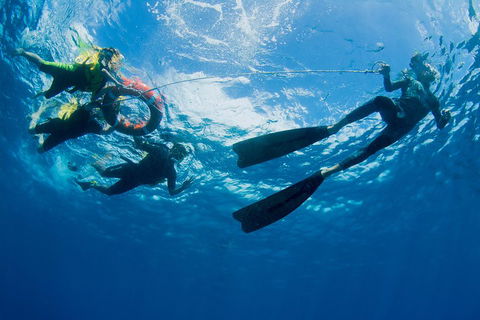 Passions Of Paradise Great Barrier Reef Snorkel And Dive Cruise From Cairns By Luxury Catamaran - Accommodation Port Macquarie 2